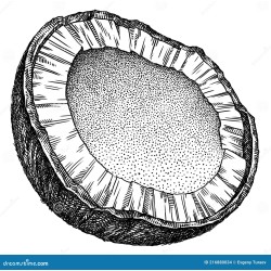 coconut oil 16 oz. coconut oil 16 oz.