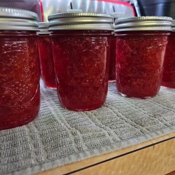 Jam Premium Jam Premium