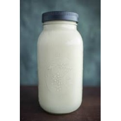 1 gallon raw milk