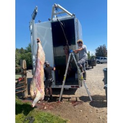 On Site Cattle Butcher reservation deposit On Site Cattle Butcher reservation deposit